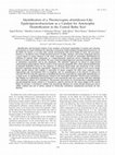 Research paper thumbnail of Identification of a Thiomicrospira denitrificans-Like Epsilonproteobacterium as a Catalyst for Autotrophic Denitrification in the Central Baltic Sea