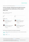 Research paper thumbnail of Active nitrogen-fixing heterotrophic bacteria at and below the chemocline of the central Baltic Sea