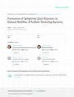 Research paper thumbnail of Formation of Sphalerite (ZnS) Deposits in Natural Biofilms of Sulfate-Reducing Bacteria