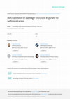 Research paper thumbnail of Mechanisms of damage to corals exposed to sedimentation