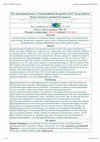 Research paper thumbnail of The Amsterdam Process: A Structurationist Perspective on EU Treaty Reform The Amsterdam Process: A Structurationist Perspective on EU Treaty Reform