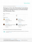 Research paper thumbnail of Phylogeny of the tribe Phlomideae (Lamioideae: Lamiaceae) with special focus on Eremostachys and Phlomoides: New insights from nuclear and chloroplast sequences