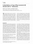 Research paper thumbnail of Cod1p/Spf1p is a P-type ATPase involved in ER function and Ca2+ homeostasis