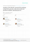 Research paper thumbnail of Analysis of the Wnt/B-Catenin/TCF4 Pathway Using SAGE, Genome-Wide Microarray and Promoter Analysis: Identification of BRI3 and HSF2 As Novel Targets