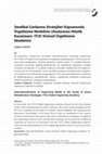 Research paper thumbnail of Sendikal Canlanma Stratejileri Kapsamında Örgütlenme Modelinin Uluslararası Nitelik Kazanması: ITUC Küresel Örgütlenme Akademisi