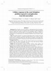 Research paper thumbnail of Cellular responses in the coral Stylophora pistillata exposed to eutrophication from fish mariculture