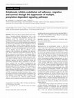 Research paper thumbnail of Zoledronate inhibits endothelial cell adhesion, migration and survival through the suppression of multiple, prenylation-dependent signaling pathways