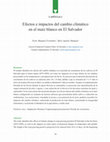 Research paper thumbnail of Efectos e impactos del cambio climático en el maíz blanco en El Salvador