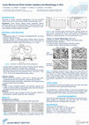 Research paper thumbnail of Cyclic mechanical strain guides capillary-like morphology in vitro