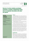 Research paper thumbnail of Recovery of surface-dwelling assemblages (Coleoptera: Carabidae, Staphylinidae) during clear-cut originated reforestation with native tree species