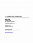 Research paper thumbnail of The Process of a Typical Commercial Case Mauritius Litigation Guide IBA Litigation Committee