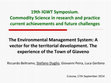 Research paper thumbnail of BeltramoDuglio Peira Gerbino 19IGWT Symposium Presentation