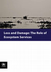 Research paper thumbnail of Loss and Damage: The Role of Ecosystem Services