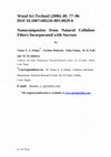 Research paper thumbnail of Nanocomposites from natural cellulose fibers incorporated with sucrose