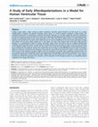 Research paper thumbnail of Correction: A Study of Early Afterdepolarizations in a Model for Human Ventricular Tissue