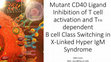 Research paper thumbnail of CD154 Inhibition of T follicular helper cell dependent B Cell Class Switching in X-Linked HyperIgM Syndrome