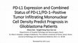 Research paper thumbnail of PD-L1 Expression and Combined Status of PD-L1/PD-1–Positive Tumor Infiltrating Mononuclear Cell Density Predict Prognosis in Glioblastoma Patients