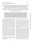 Research paper thumbnail of DNA Immunization with Plasmids Encoding Fusion and Nucleocapsid Proteins of Bovine Respiratory Syncytial Virus Induces a Strong Cell-Mediated Immunity and Protects Calves against Challenge