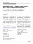 Research paper thumbnail of Molecular characterization of global maize breeding germplasm based on genome-wide single nucleotide polymorphisms