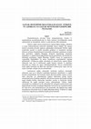 Research paper thumbnail of SAĞLIK SİSTEMİNDE DESANTRALİZASYON: TÜRKİYE VE AZERBAYCAN SAĞLIK SİSTEMLERİ ÜZERİNE BİR İNCELEME