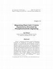 Research paper thumbnail of Migrating Plant Cell: F-Actin Asymmetry Directed by Phosphoinositide Signaling