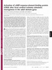 Research paper thumbnail of Activation of cAMP-response-element-binding protein (CREB) after focal cerebral ischemia stimulates neurogenesis in the adult dentate gyrus