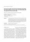 Research paper thumbnail of Annotated checklist of the birds from Pantelleria Island (Sici-lian Channel, Italy): a summary of the most relevant data, with new species for the site and for Italy