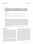 Research paper thumbnail of Luketa S. 2017. Morphological variability of Nebela collaris s.s. (Arcellinida: Hyalospheniidae) from Krečko Brdo Hill, East Herzegovina. Biologia Serbica. 39(2): 3-8