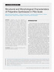 Research paper thumbnail of Structural and Morphological Characteristics of Polyaniline Synthesized in Pilot Scale