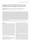 Research paper thumbnail of Histological and electrical properties of rat dorsal root ganglion neurons innervating the lower urinary tract