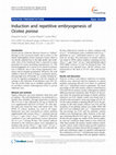 Research paper thumbnail of Induction and repetitive embryogenesis of Ocotea porosa