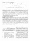 Research paper thumbnail of Xyloglucans from Hymenaea courbaril var. stilbocarpa seeds affect Arabidopsis thaliana seedling growth by enhancing lateral root development