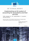 Research paper thumbnail of Initial proposals for the implementation of ecosystem services accounts