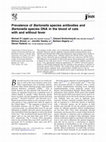 Research paper thumbnail of Prevalence of Bartonella species antibodies and Bartonella species DNA in the blood of cats with and without fever