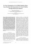 Research paper thumbnail of In Vitro Propagation of an Edible Bamboo Bam-busa Bambos and Assessment of Clonal Fidelity through Molecular Markers