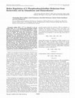 Research paper thumbnail of Redox Regulation of 3'-Phosphoadenylylsulfate Reductase from Escherichia coli by Glutathione and Glutaredoxins