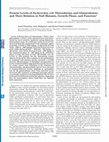 Research paper thumbnail of Protein Levels of Escherichia coli Thioredoxins and Glutaredoxins and Their Relation to Null Mutants, Growth Phase, and Function