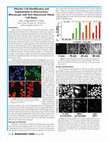 Research paper thumbnail of Effective Cell Identification and Segmentation in Fluorescence Microscopy with New Fluorescent Whole Cell Stains