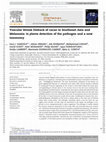 Research paper thumbnail of Vascular Streak Dieback of cacao in Southeast Asia and Melanesia: in planta detection of the pathogen and a new taxonomy