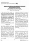 Research paper thumbnail of Molecular phylogeny and speciation of the surfperches (Embiotocidae, Perciformes)