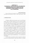 Research paper thumbnail of TOLERANCIA Y PROTECCIÓN DE LOS DERECHOS FUNDAMENTALES EN EL MARCO DE UNA NECESARIA TEORÍA JURÍDICO-POLÍTICA DE LA OPOSICIÓN