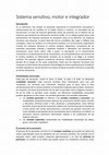 Research paper thumbnail of Sistema sensitivo, motor e integrador