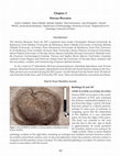 Research paper thumbnail of Çatalhöyük Research Project Human Remains Report 2017