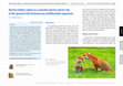 Research paper thumbnail of Red fox (Vulpes vulpes) as a synurbic species and its role in the spread of the Echinococcus multilocularis tapeworm [Dorota Dwużnik, Anna Bajer]