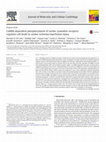 Research paper thumbnail of CaMKII-dependent phosphorylation of cardiac ryanodine receptors regulates cell death in cardiac ischemia/reperfusion injury