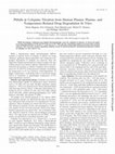 Research paper thumbnail of Pitfalls in Cefepime Titration from Human Plasma: Plasma- and Temperature-Related Drug Degradation In Vitro