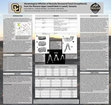 Research paper thumbnail of Morphological Affinities of Recently Discovered Fossil Cercopithecids from the Pliocene Upper Laetolil Beds in Laetoli, Tanzania