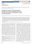 Research paper thumbnail of Quantitative Analysis of the Morphological Changes of the Pubic Symphyseal Face and the Auricular Surface and Implications for Age at Death Estimation