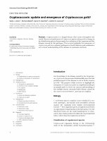 Research paper thumbnail of Cryptococcosis : update and emergence of cryptococcus gattii