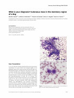 Research paper thumbnail of What is your diagnosis ? Cutaneous mass in the mammary region of a dog.